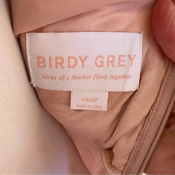 Birdy Grey Lianna Mesh Dress Muted Pink Maxi Bridesmaid Prom Formal Lined: Small - Picture 7 of 10